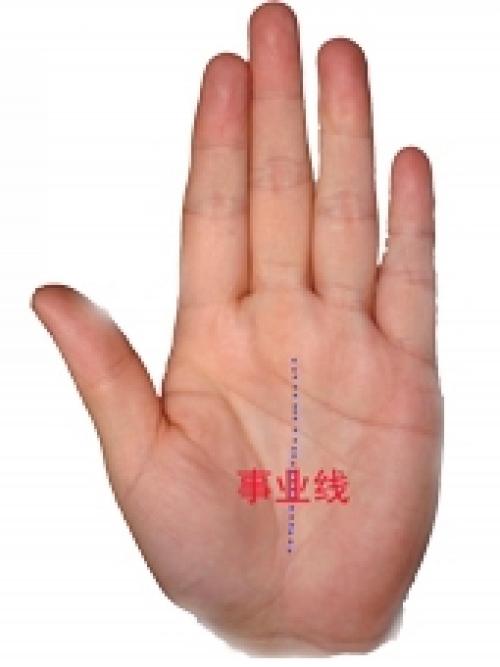 手相没有事业线手相没有事业线解析