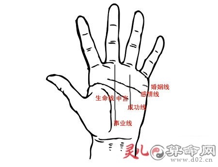 手相没有事业线手相没有事业线解析-第3张图片