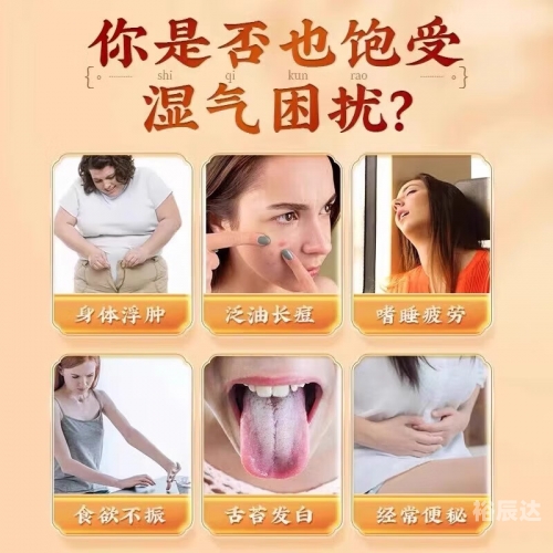 比思论坛网站比思论坛网站，探索网络交流的新天地