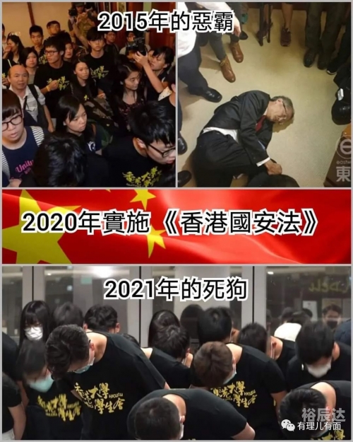 2023年香港今晚特马2023年香港今晚特马，璀璨夜空下的盛事-第1张图片