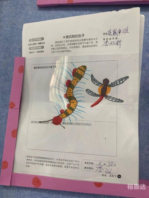虫虫高手论坛，探索网络社区的奇妙世界-第2张图片