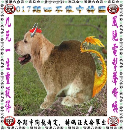 今晚买四不像今晚买四不像-第1张图片