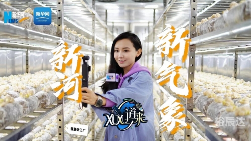今晚网今晚网，网络生活的新篇章-第1张图片
