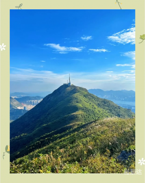 香港黄大仙救世报香港黄大仙救世报，信仰与希望的灯塔-第3张图片