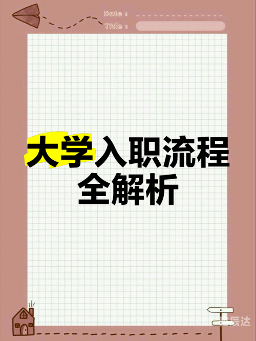 高校新人，初入职场的探索与成长