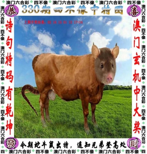 管家婆一肖一码必中一肖管家婆一肖一码必中一肖，彩票预测与策略-第2张图片