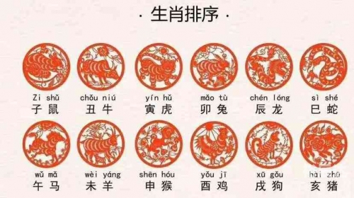 逗留不进是什么生肖动物逗留不进是什么生肖-第2张图片