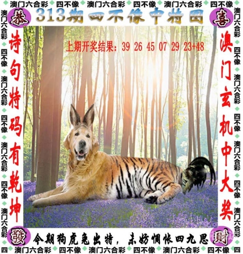 新澳天天开奖资料大全最新54期129期-第3张图片