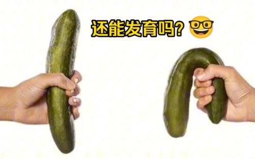 小学生的坤坤放到女生的坤里小学生坤坤与女生坤的奇妙相遇-第2张图片