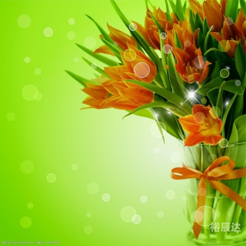 百合图库，艺术与美的交汇之地-第2张图片