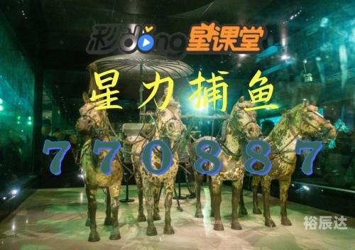 星力正版打鱼平台星力正版，正版之选-第2张图片