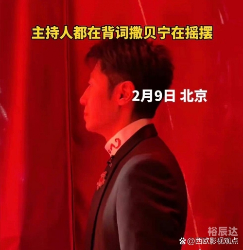 2024年春晚主持人2024年春晚关键词，欢乐盛宴、文化传承与创新