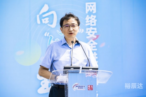 金彩网，引领数字时代的璀璨之网-第1张图片