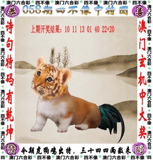 王中王一码一肖一特一中的故事