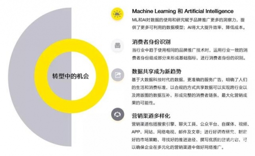 白猫图库，探索数字时代的艺术宝库