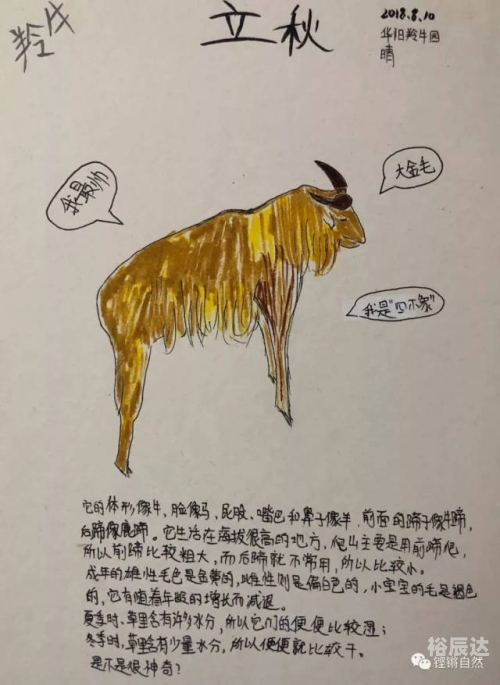 今天必中四不像图今天必中的四不像图