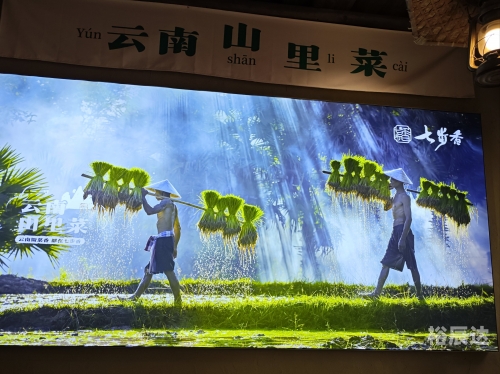 探索123Sougou，美食与文化的交融之地