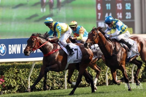 香港赛马会免费资枓网香港赛马会免费资源网，探索无价的资源宝库