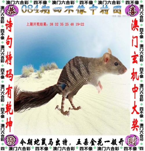 澳门管家婆，一肖一码一开，开启智慧生活新篇章-第2张图片