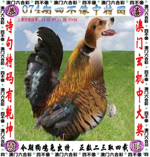 澳门马会正版资料查询，2022年指南