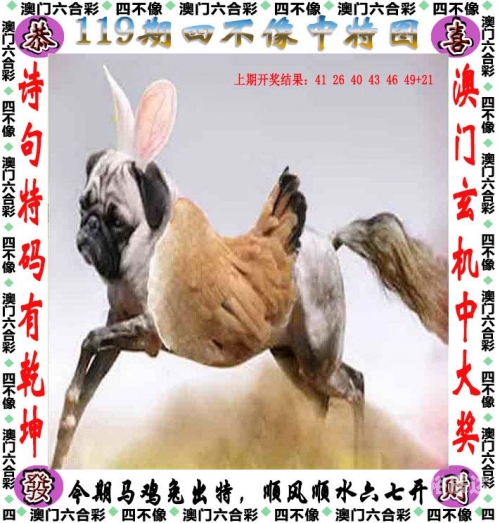澳门四不像论坛www961212澳门四不像论坛，探索多元文化与交流平台