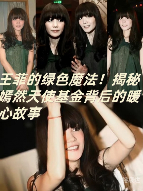 穿越娱乐圈，星光背后的传奇之旅