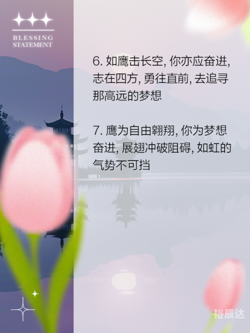 鹰击长空2在线观看鹰击长空2，探索天空的壮丽与挑战-第1张图片
