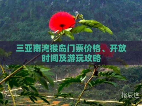 猴岛身份证，探索神秘猴岛的独特身份证明