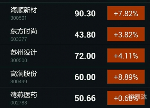 神鹰论坛，探索网络交流的新天地