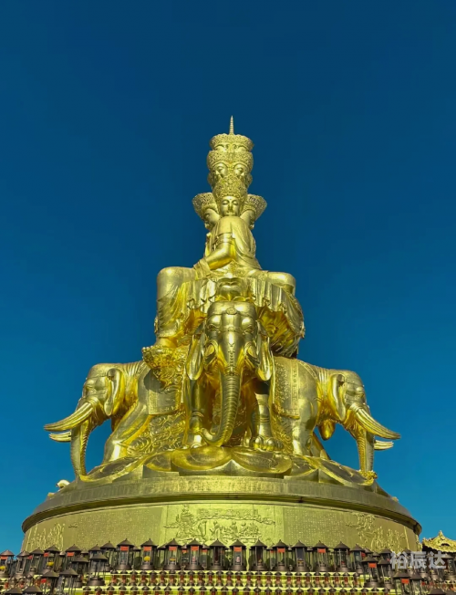 金殿国际金殿国际，引领国际视野的璀璨明珠