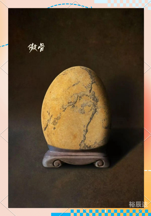 选天录选天录，探寻自然之美与人生智慧