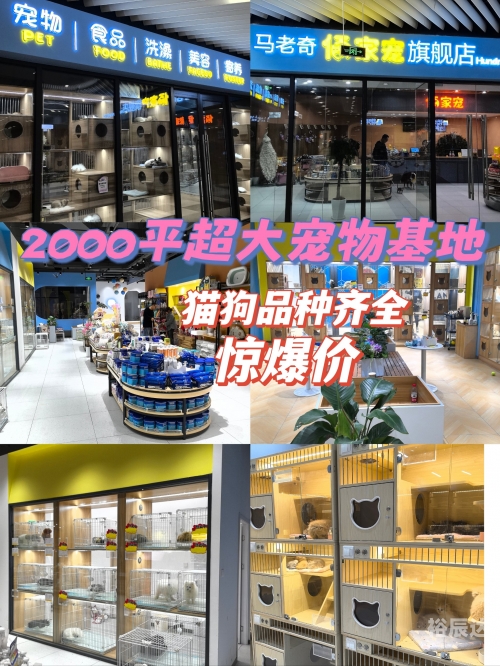 宠物论坛网站宠物论坛，宠物爱好者的交流平台