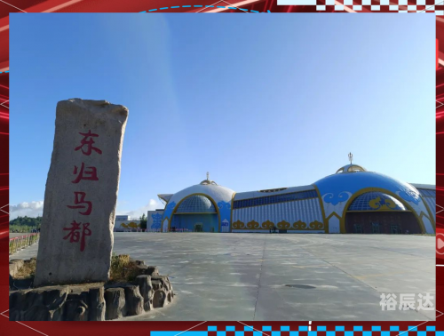 马匹交易市场马匹买卖网，便捷交易新选择
