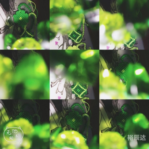 四叶草论坛，探索网络交流的新天地-第1张图片