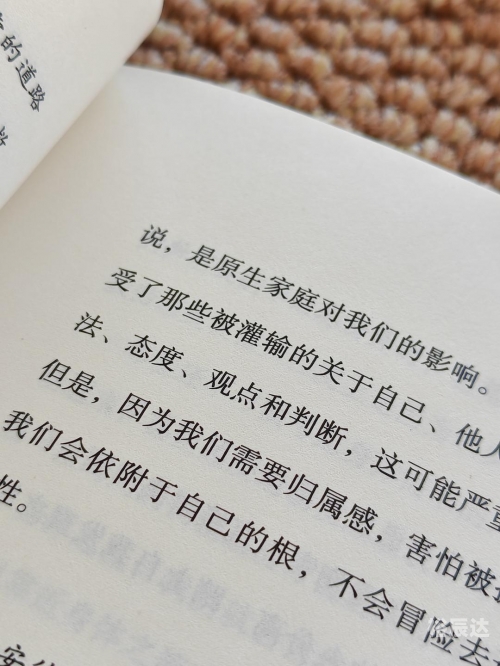 唯美论坛，探寻美的真谛