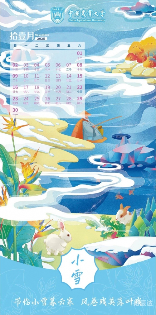 2009日历，回顾与展望
