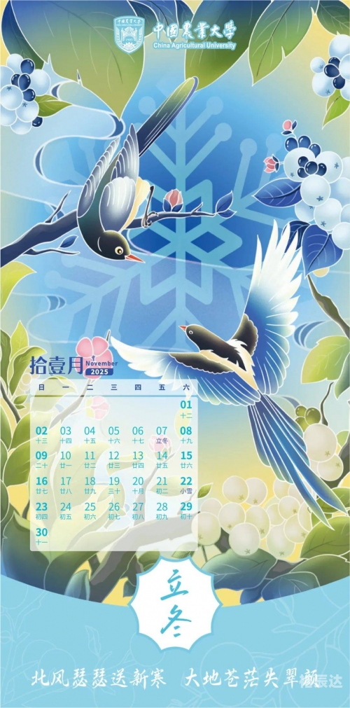 2009日历，回顾与展望-第2张图片