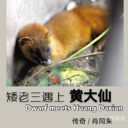 黄大仙精选免费资料大全-第2张图片