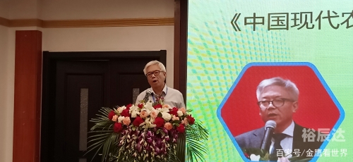 金鹰论坛免费资料大全下载官网金鹰论坛，探索网络交流的新天地