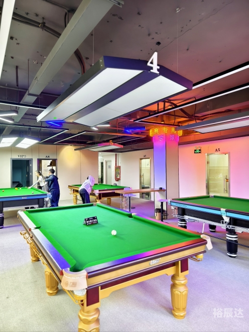 棋牌娱乐网棋牌娱乐网，探索数字娱乐的新天地