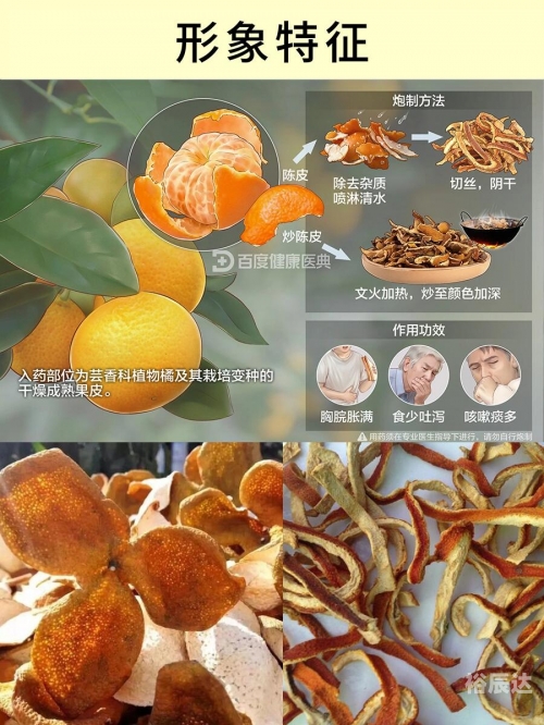 老九门陈皮是好人还是坏人老九门陈皮，品味历史与健康的完美结合