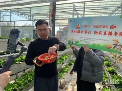 臻游网络，引领网络新纪元-第3张图片