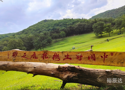 伊春飞机之旅-第1张图片