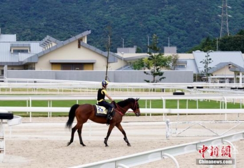 香港马会2019开奖结果历史记录-第2张图片