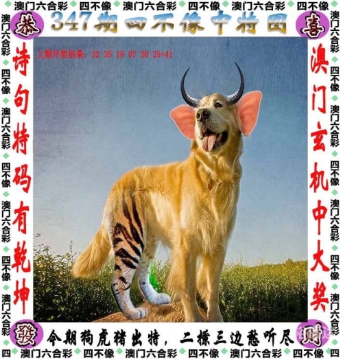澳门六开彩2021年全年开奖结果资料-第2张图片