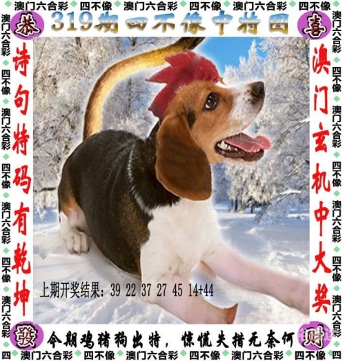 黄大仙精选三肖三码必开黄大仙精选三肖三码必开