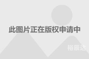 宝丽来国际娱乐，探索无限可能