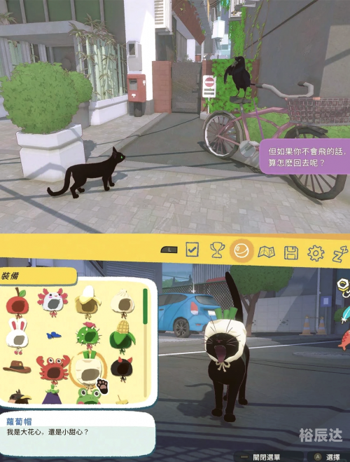 小猫咪大城市小猫咪在大城市的生活