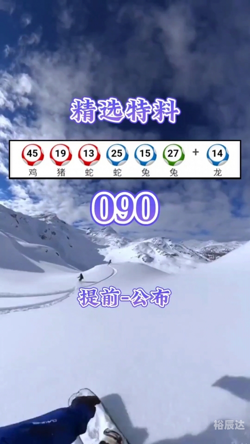 2024年新奥门天天开彩2024年新奥门天天开彩，展望与预测