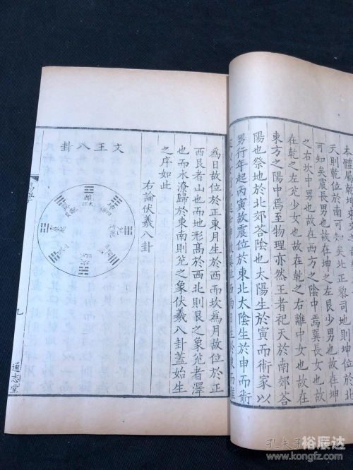 富婆的特玄机与精版图